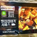 야외돼지