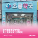 초롱약국 이미지