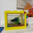 파란색싹어린이집 이미지