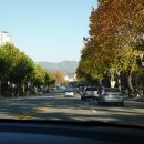 청주가로수길 이미지