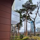 수원-1483 | 수원다이어트 갱년기다이어트에 효과 좋은 온열 돔다이어트 케어포랩 솔트