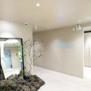 강남가로수부동산중개 | <병원계약후기> 도산대로 학동사거리 120평 피부과 계약완료