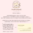 퍼피몽 | 왕십리애견샵 미니말티즈강아지책임분양 퍼피몽 : 로라