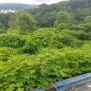 광주목장 이미지