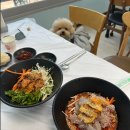 물회마세