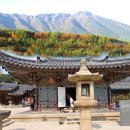 못찾겠다꾀꼬리