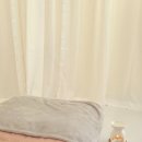 강아지 마을회관 이미지