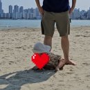 옥스포드숲어린이집 | 직계 돌잔치답례품 (수건, 놋수저, 견과류, 아기들선물, 보자기포장)