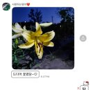 나현약국 | 섭씨 38도의 달