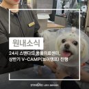 우성동물병원 | 송파 위례 24시 스탠다드 동물의료센터 V-CAMP(브이캠프) 실습 프로그램 학생 후기