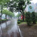 살와레스토랑 네이버블로그