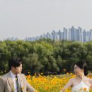 연포토
