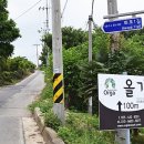 올가리조트 이미지