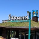 제주흑돼지전문점 꽃담 이미지