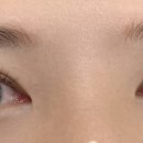 사파동101 이미지