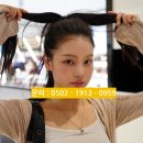 디노원