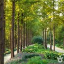 올리브영 등촌점 이미지