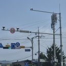 도담동BRT 이미지