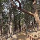 운수사약수터 | 가볍게 써보는 부산 석불사 답사기