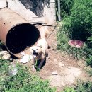 유 농원 이미지