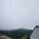한천노인회분회 | 장흥 가볼만한곳, 관산읍 감나무밭 / 장흥여행, 칠량면 소 송아지 먹이주기 체험
