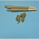 당신한의원 이미지