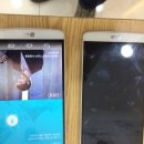 문정약국 이미지