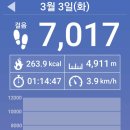 소룡농장 이미지