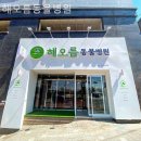 해오름 동물병원 네이버블로그