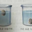 물체의 잠긴 부피가 클수록 부력이 크다는 게 무슨 뜻일까요?ㅠㅜ 이미지