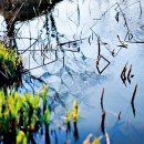 오후의 산책 이미지