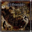 BEWITCHED - Unveiling Zion: The Mother's Return 이미지