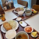 하나돈까스 | 청주 복대동 돈까스 맛집 카츠노하나 안심카츠 후기