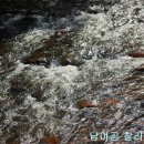 창연농장 네이버블로그