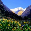 안나프루나 이미지