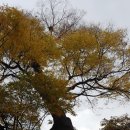 가을여행 남한산성 이미지
