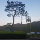 프린세스 골프클럽 이미지