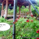 별이네 농장 이미지