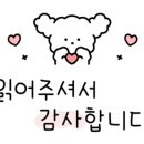 속옷싸게사자 이미지