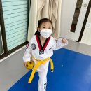 경희대금호태권도장 이미지