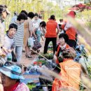 농업회사법인 세종로컬푸드 주식회사 조선일보