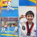 빠샤 태권도장 이미지