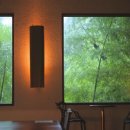 신선로 447번길 이미지