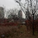 영은공인중개사사무소 이미지