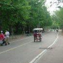 인천대공원(남문) 이미지