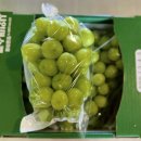 민경농장 이미지