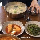 도그미뇽 이미지