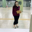 셀리웨어