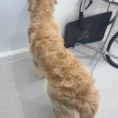 무브멍트 이미지