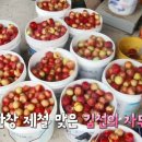 분지농장 이미지